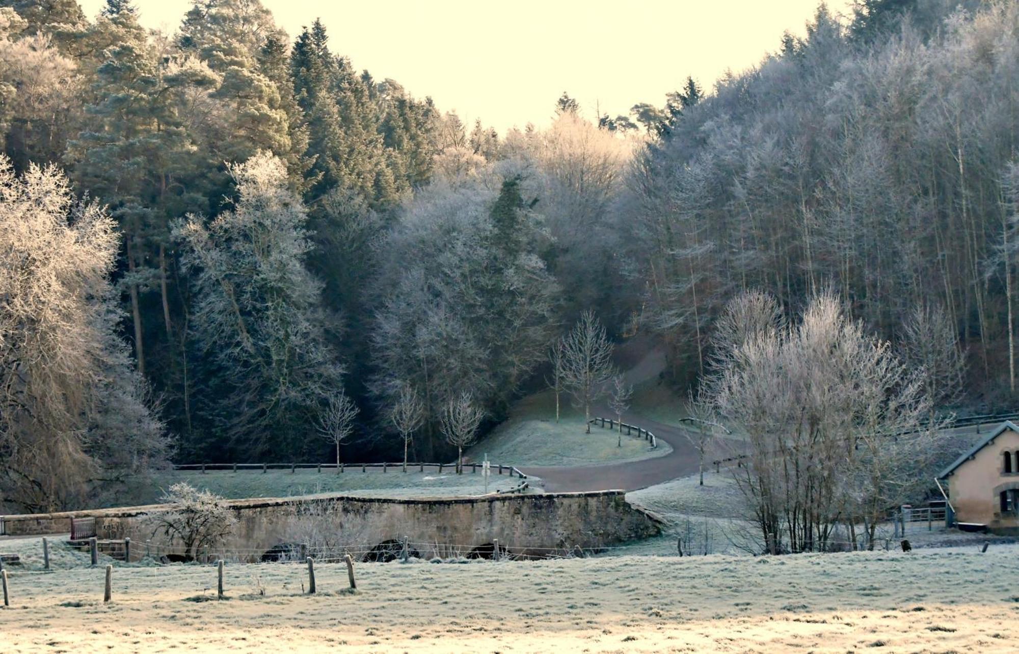 Gite Coeurdacier Monthureux-sur-Saône Dış mekan fotoğraf